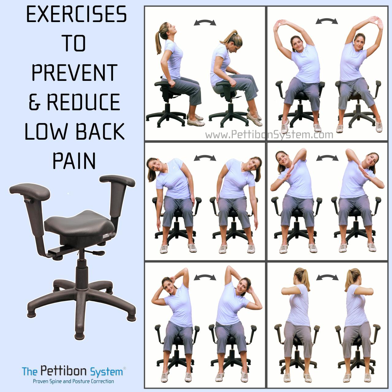 Exercises pain lower chair back relieve good